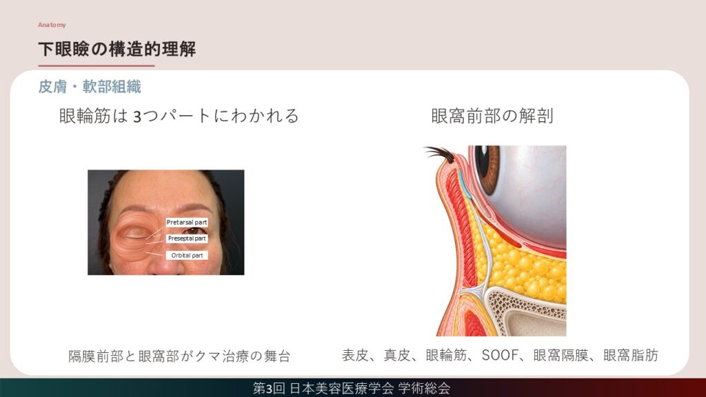 9_下眼瞼の眼輪筋は 3つパートにわかれる