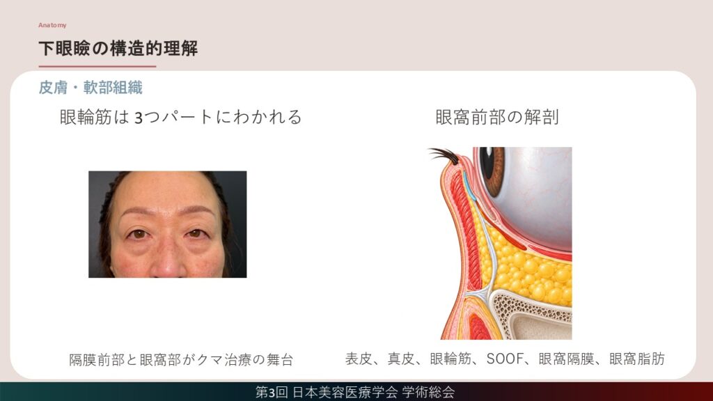 8_下眼瞼の皮膚・軟部組織